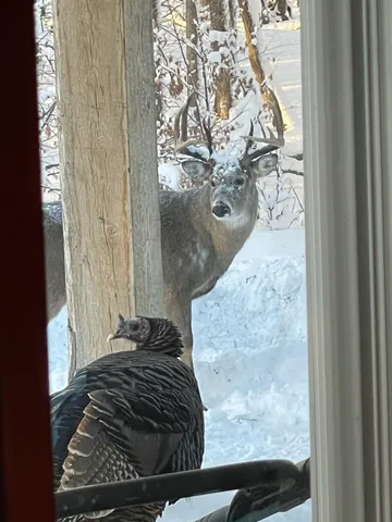 $819,000 | 26088 Broadway Avenue, Detroit Lakes, MN 56501