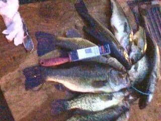 $819,000 | 26088 Broadway Avenue, Detroit Lakes, MN 56501