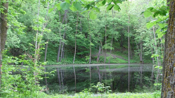 $799,000 | 26088 Broadway Avenue, Detroit Lakes, MN 56501