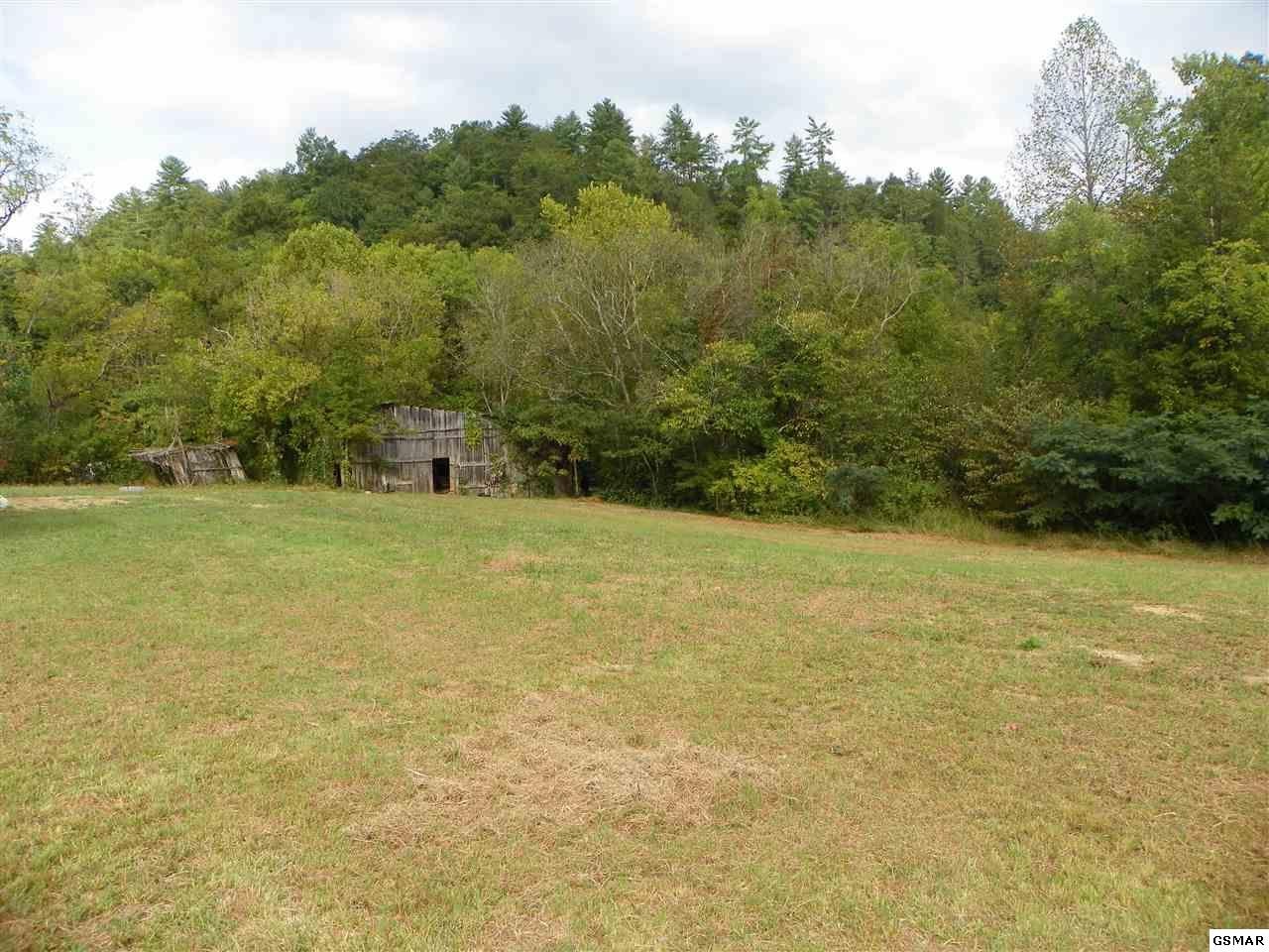3663 Wilhite Road Sevierville, TN 37876 - Photo 16 of 23 Gallery Image 16