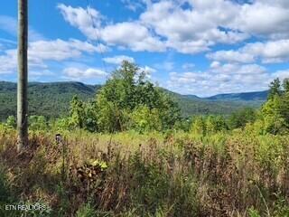 Lot 72 Tomahawk Road Jamestown, TN 38556 - Photo 11 of 28 Photo 7