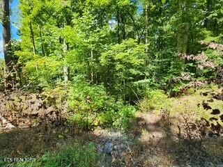Lot 72 Tomahawk Road Jamestown, TN 38556 - Photo 13 of 28 Photo 9