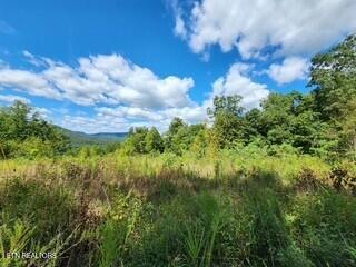 Lot 72 Tomahawk Road Jamestown, TN 38556 - Photo 15 of 28 Photo 19