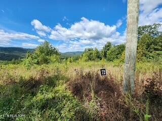 Lot 72 Tomahawk Road Jamestown, TN 38556 - Photo 16 of 28 Photo 27