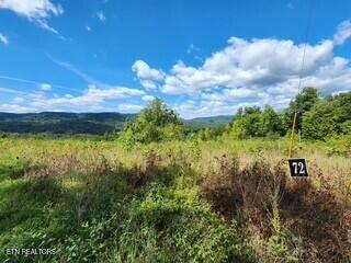 Lot 72 Tomahawk Road Jamestown, TN 38556 - Photo 17 of 28 Photo 29