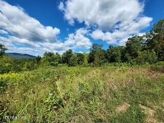 Lot 72 Tomahawk Road Jamestown, TN 38556 - Photo 18 of 28 Photo 31