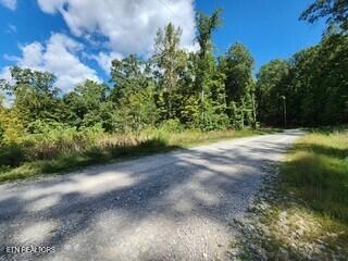 Lot 72 Tomahawk Road Jamestown, TN 38556 - Photo 19 of 28 Photo 47