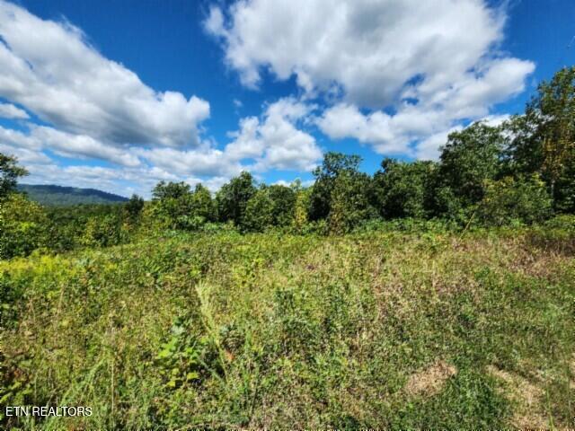 Lot 72 Tomahawk Road Jamestown, TN 38556 - Photo 2 of 28 20250826_104922