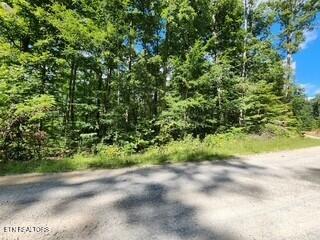 Lot 72 Tomahawk Road Jamestown, TN 38556 - Photo 23 of 28 Photo12