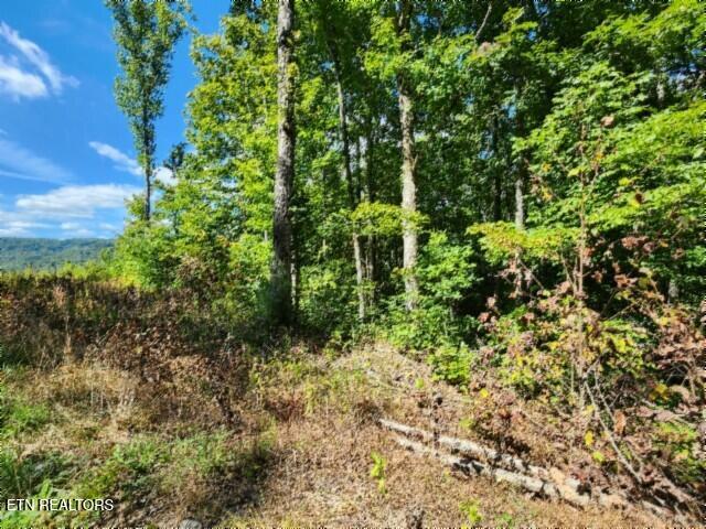 Lot 72 Tomahawk Road Jamestown, TN 38556 - Photo 5 of 28 20250826_105254