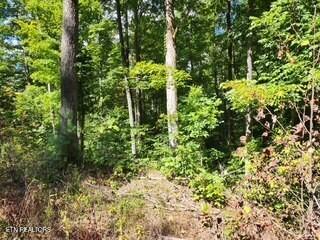 Lot 72 Tomahawk Road Jamestown, TN 38556 - Photo 6 of 28 Photo 1