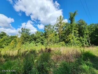 Lot 72 Tomahawk Road Jamestown, TN 38556 - Photo 9 of 28 Photo 5