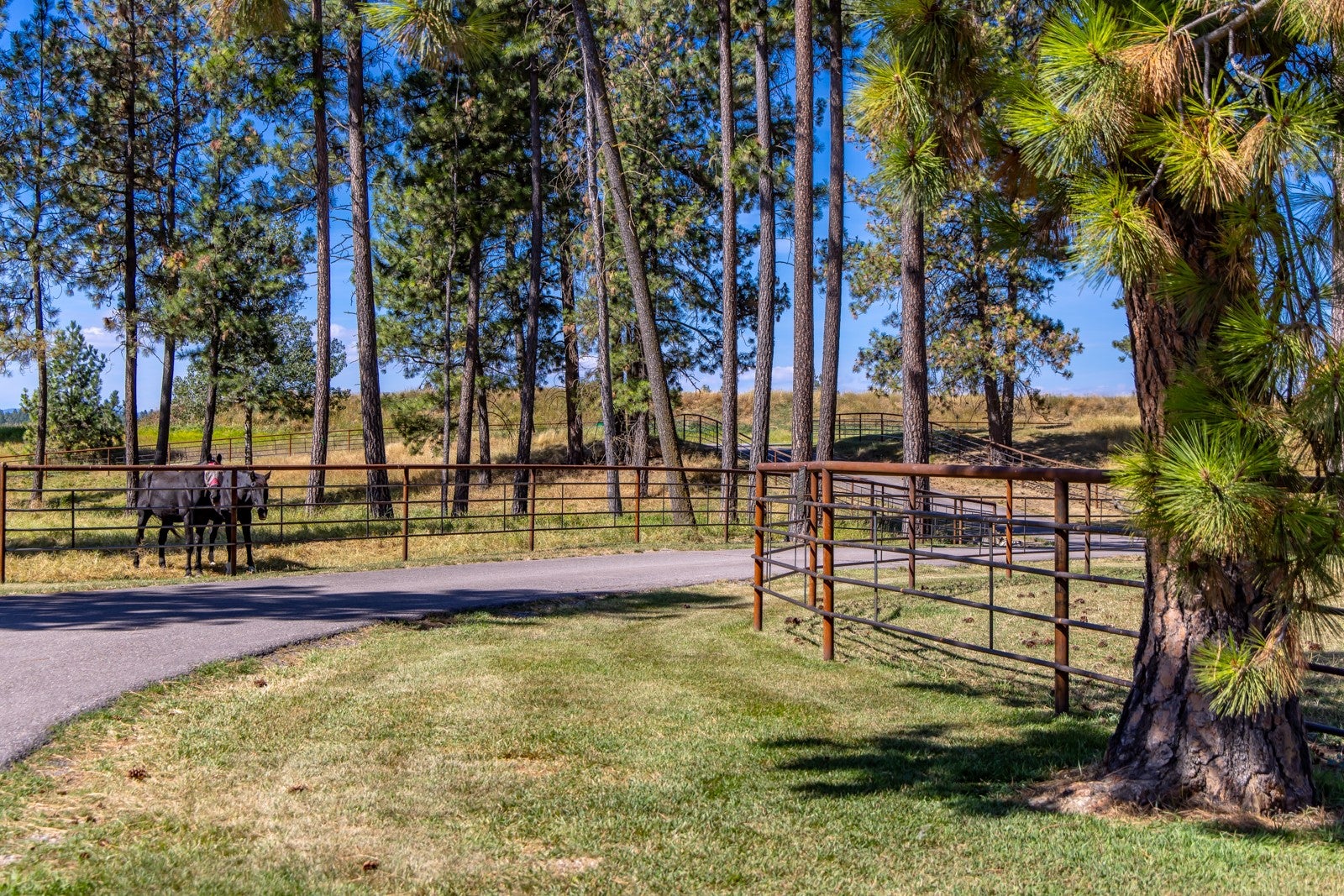 500 Rodeo Drive Columbia Falls, MT 59912 - Photo 79 of 183 Gallery Image 79