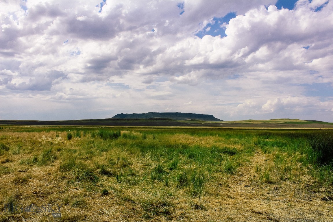 Muddy Muddy Creek Ranch Cascade, MT 59421 - Photo 13 of 42 Gallery Image 13