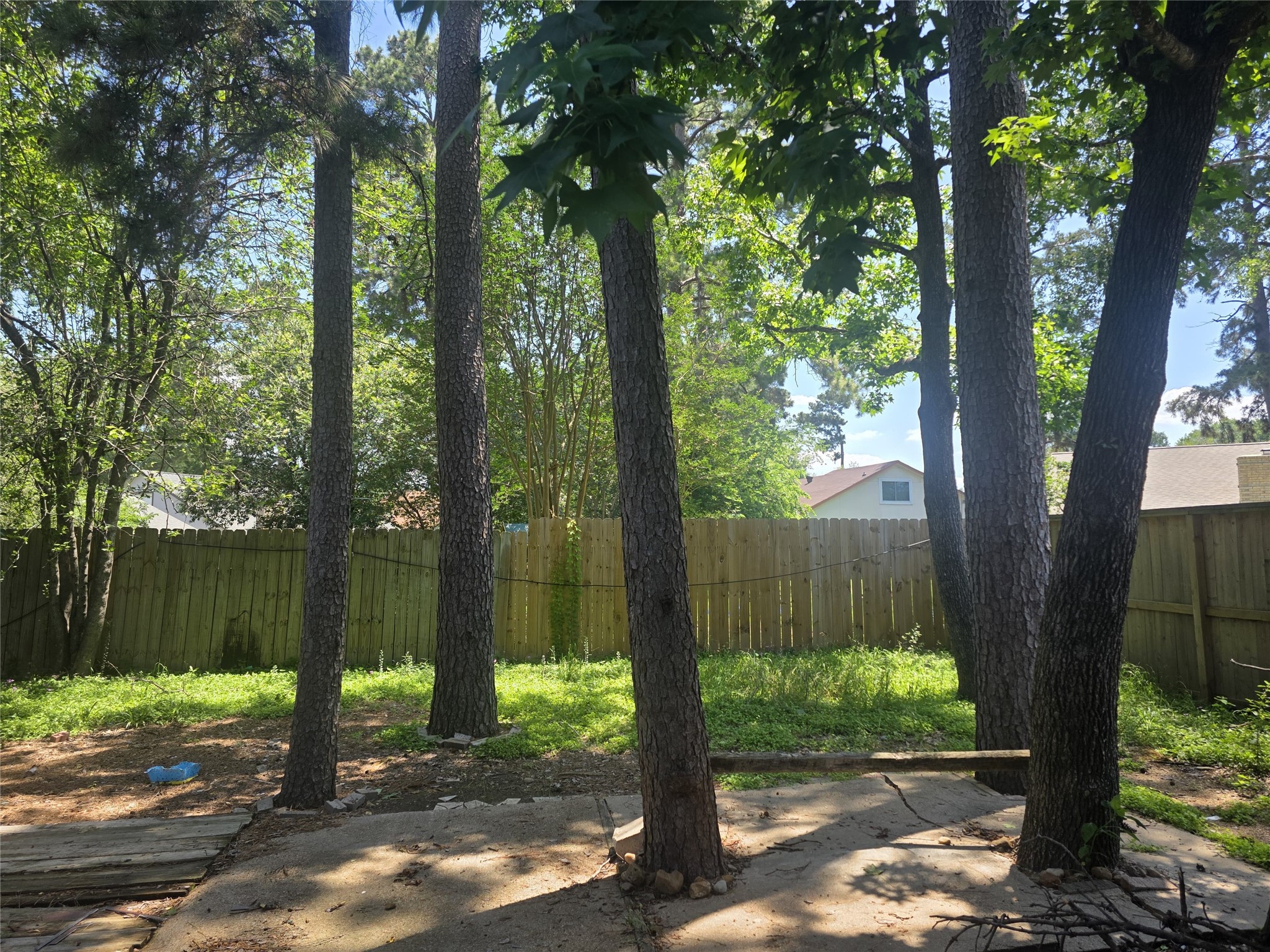 23322 Dew Wood Lane Spring, TX 77373 - Photo 8 of 20 a view of a backyard with large trees and wooden fence