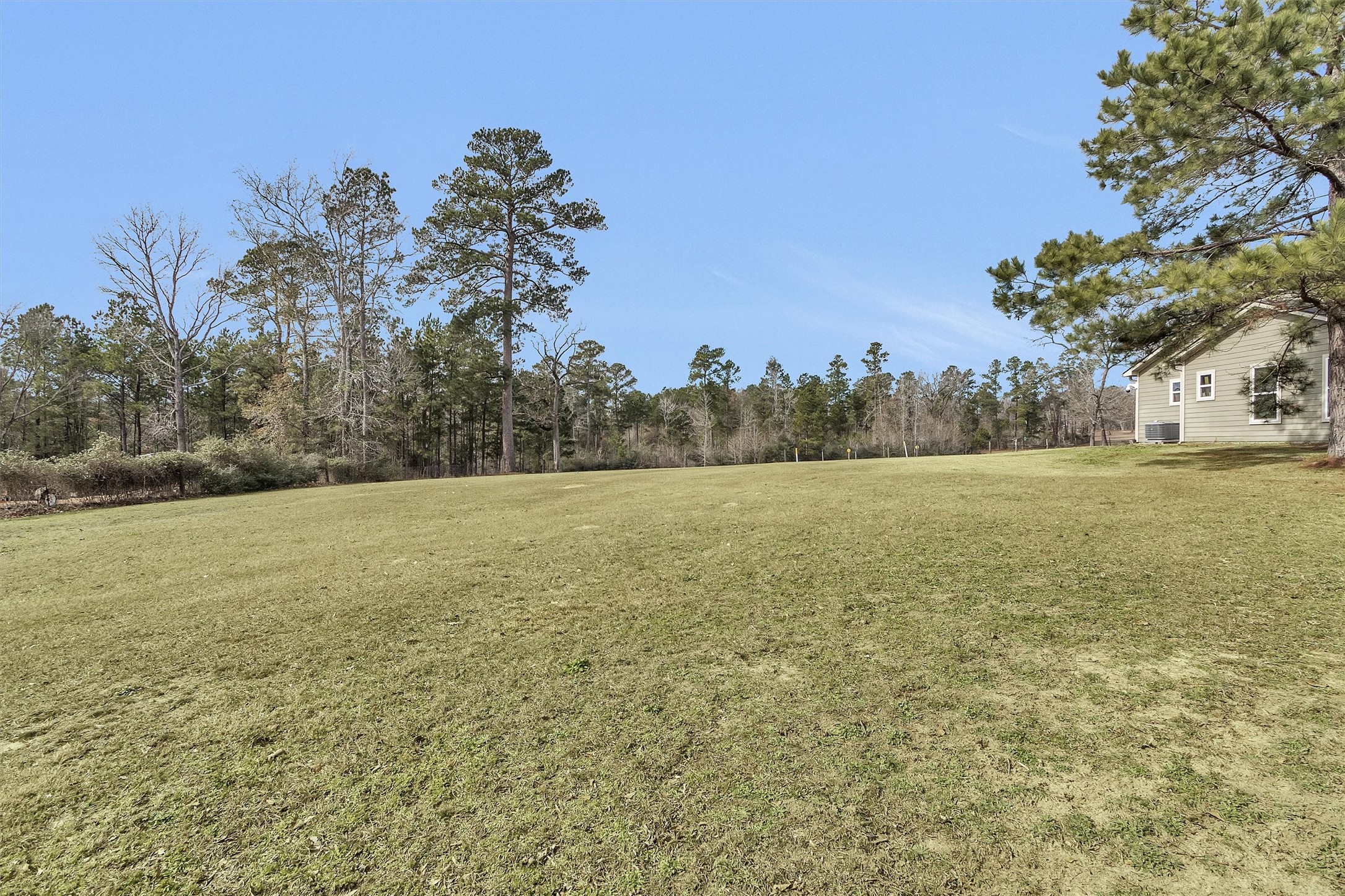 12225 High Fire Road Montgomery, TX 77356 - Photo 41 of 45 a view of outdoor space and yard