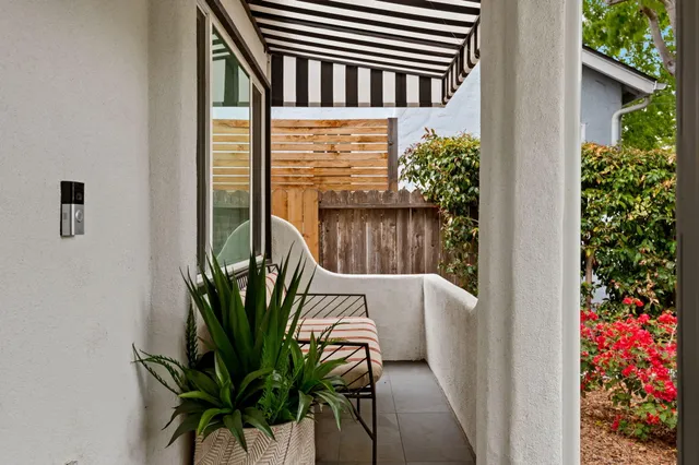 a view of a backyard with plants and a garden