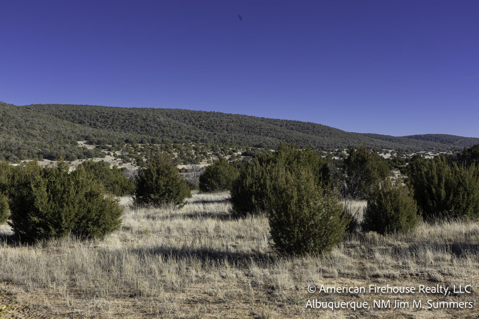 E Trail Edgewood, NM 87015 - Photo 4 of 11 Gallery Image 4