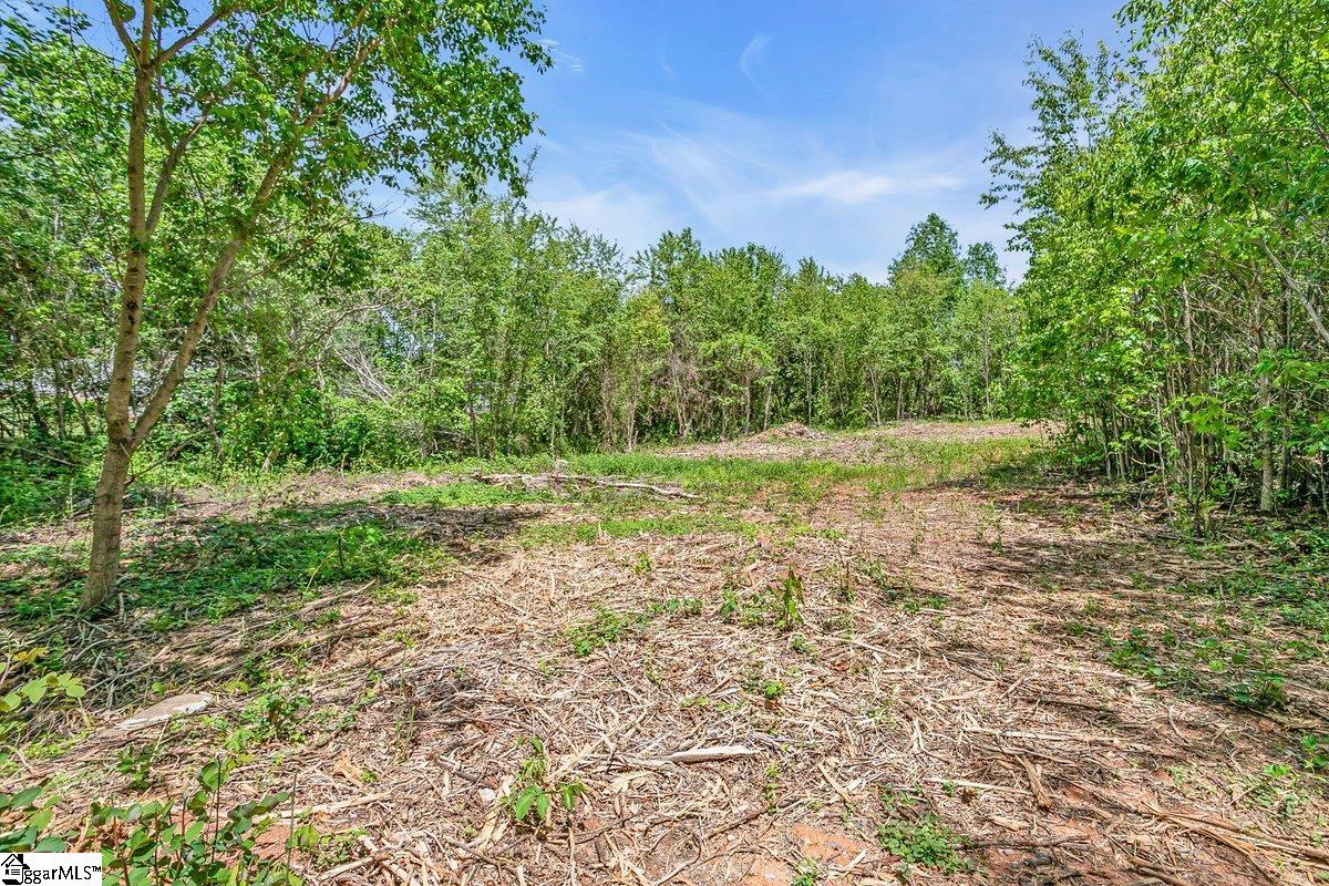 0 State Park Road Greenville, SC 29609 - Photo 8 of 10 Gallery Image 8