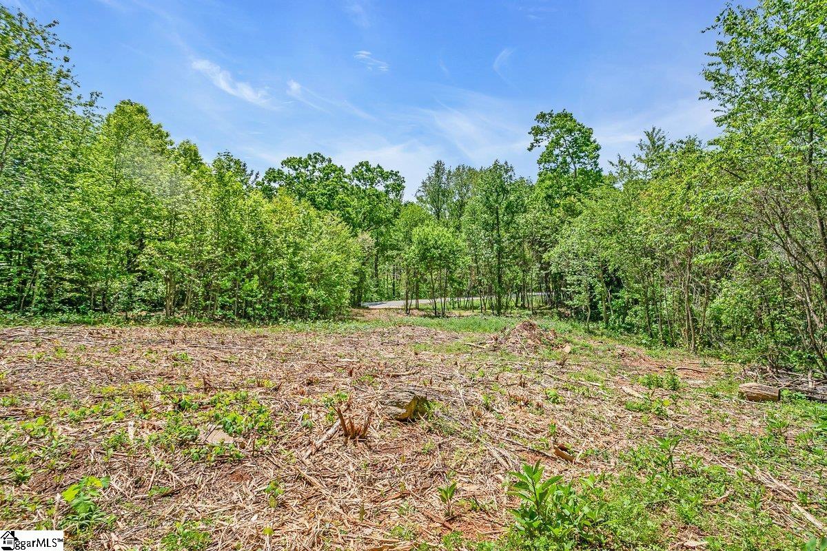 0 State Park Road Greenville, SC 29609 - Photo 9 of 10 Gallery Image 9