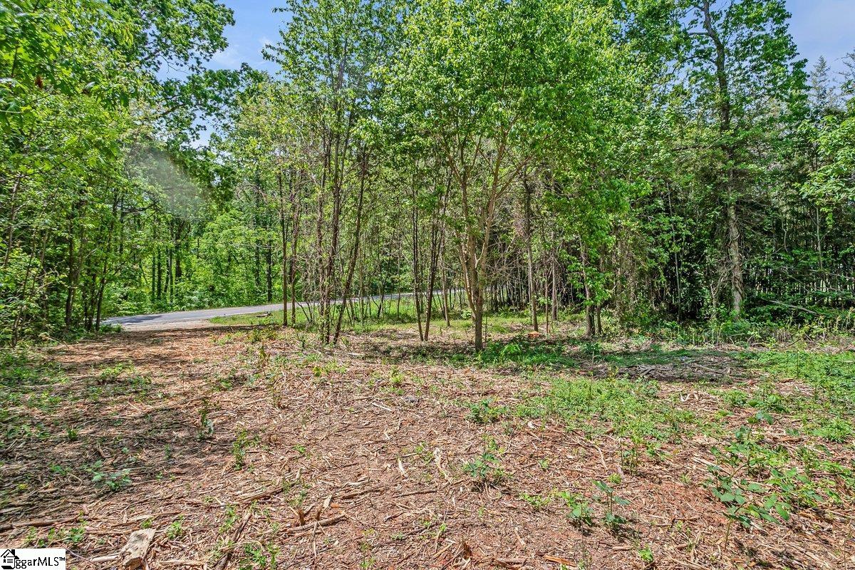 0 State Park Road Greenville, SC 29609 - Photo 10 of 10 Gallery Image 10