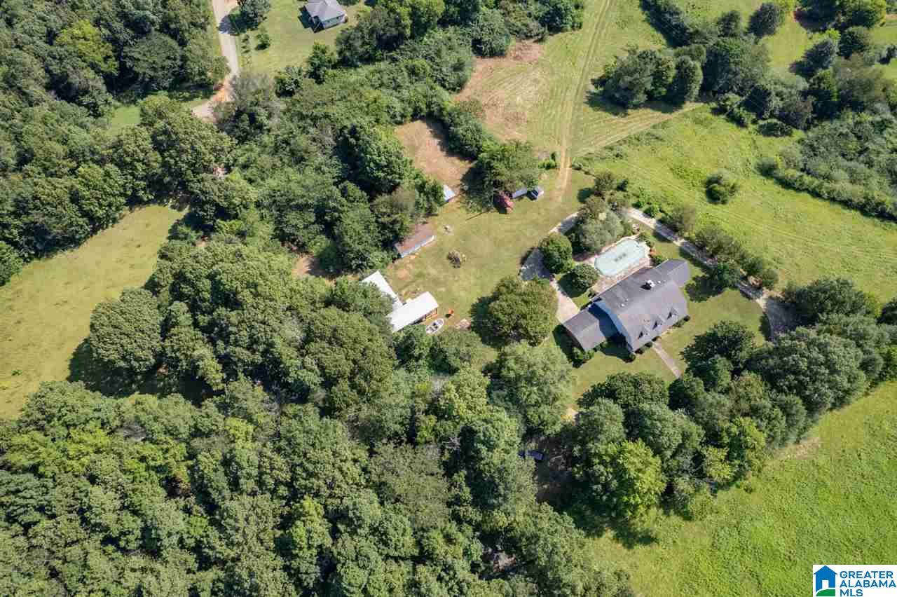 5705 Mays Bend Road Pell City, AL 35128 - Photo 45 of 50