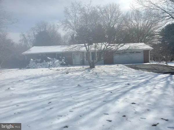 a view of yard and tree