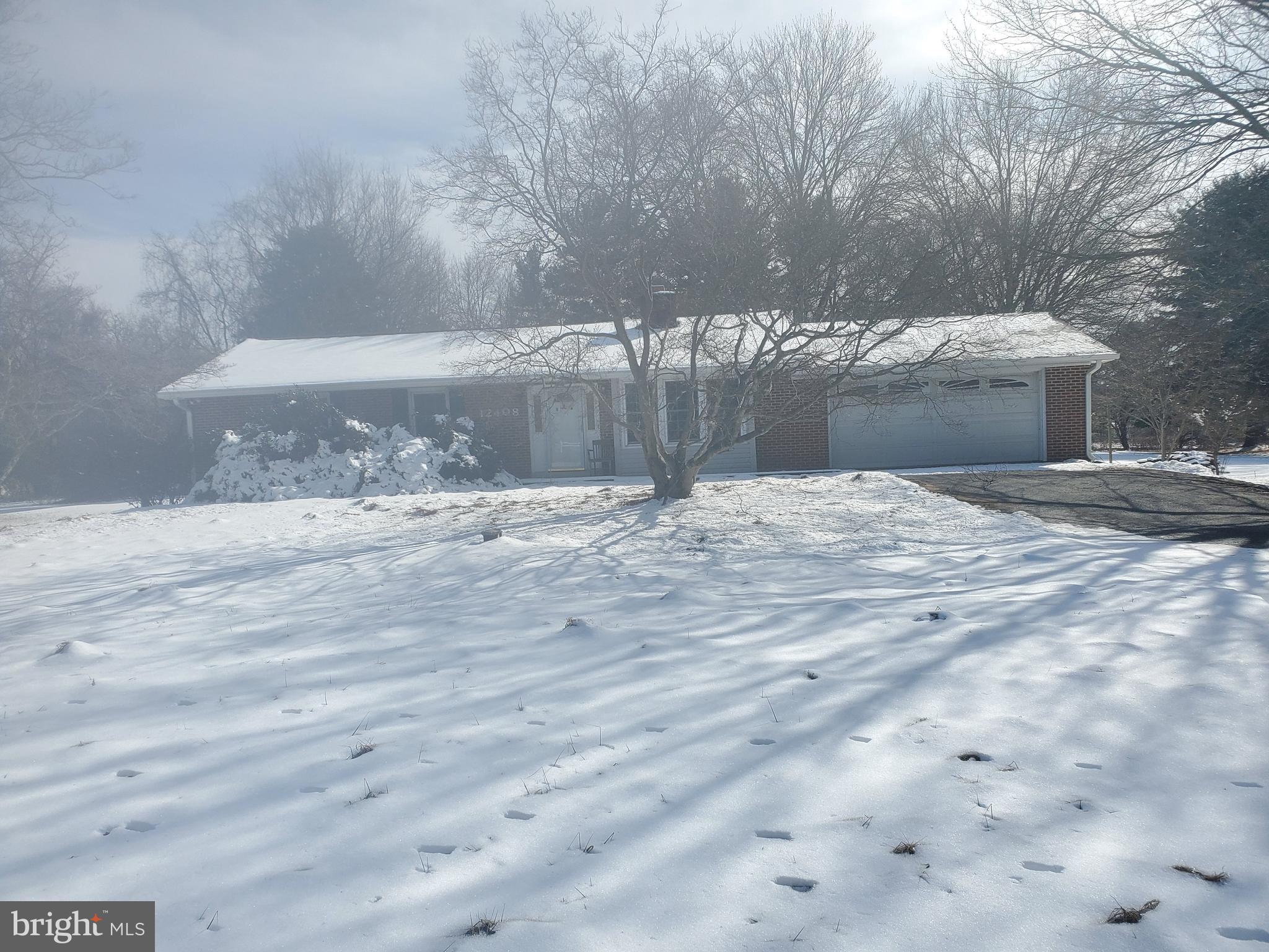a view of yard and tree