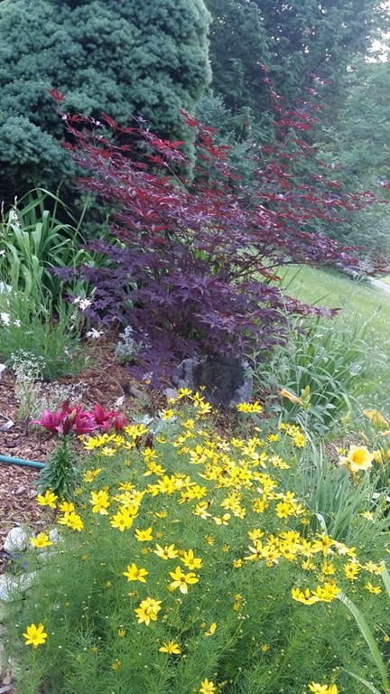 46 Rolling Ridge Road Amherst, MA 01002 - Photo 27 of 30 Gallery Image 27