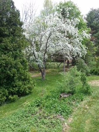 46 Rolling Ridge Road Amherst, MA 01002 - Photo 30 of 30 Gallery Image 30