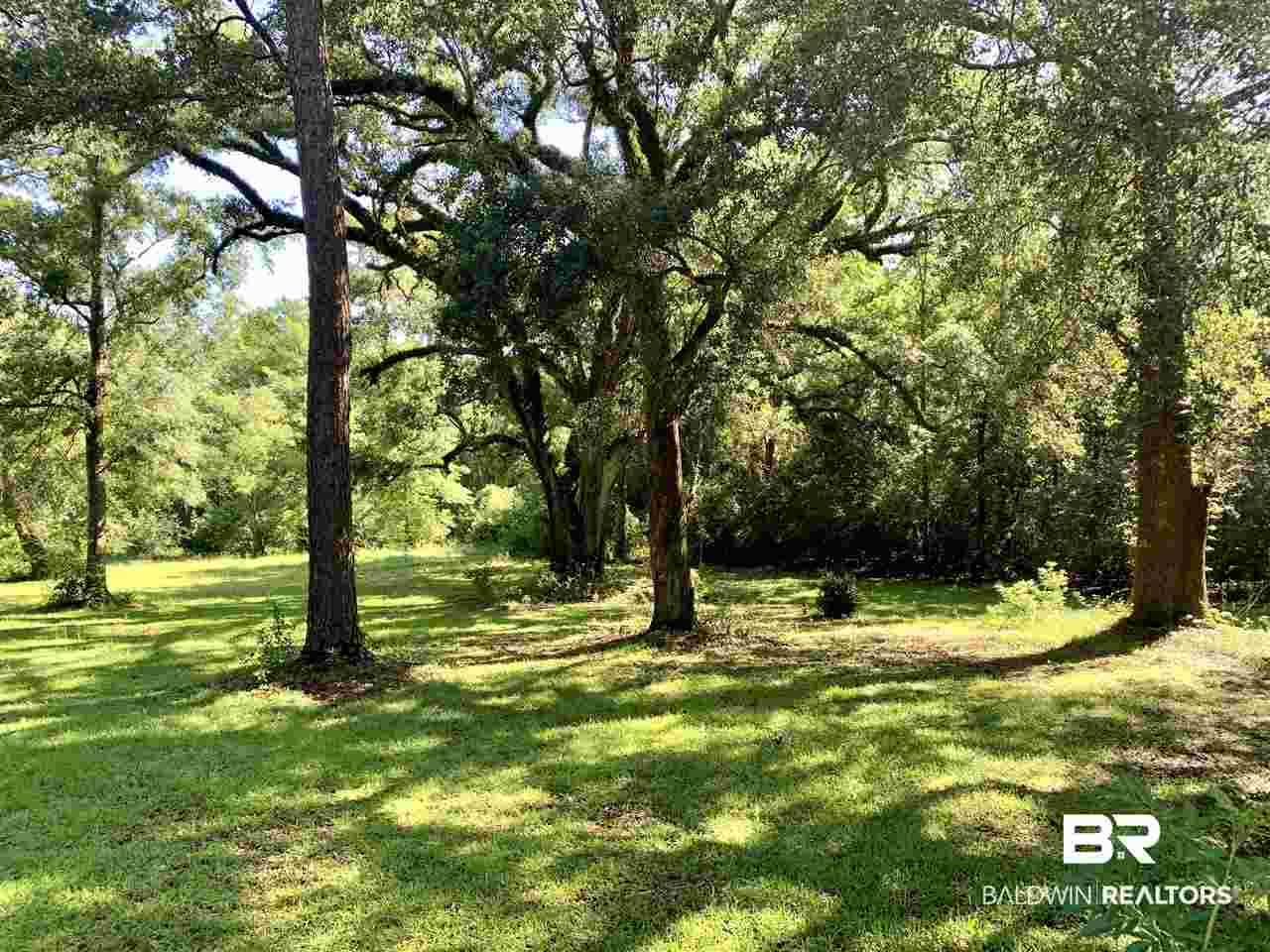 17071 County Road 52 Silverhill, AL 36576 - Photo 30 of 44 Great place for a treehouse.