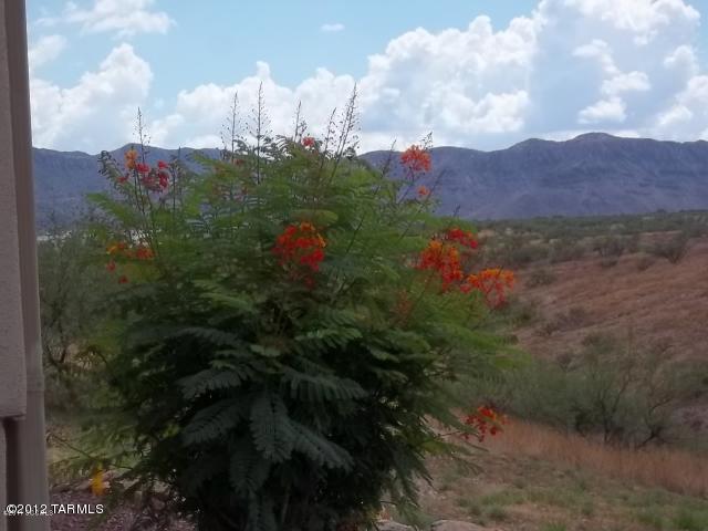 1490 Circulo Jacona Rio Rico, AZ 85648 - Photo 3 of 29 a view of a big yard