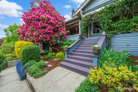 a view of a garden with flowers and flowers