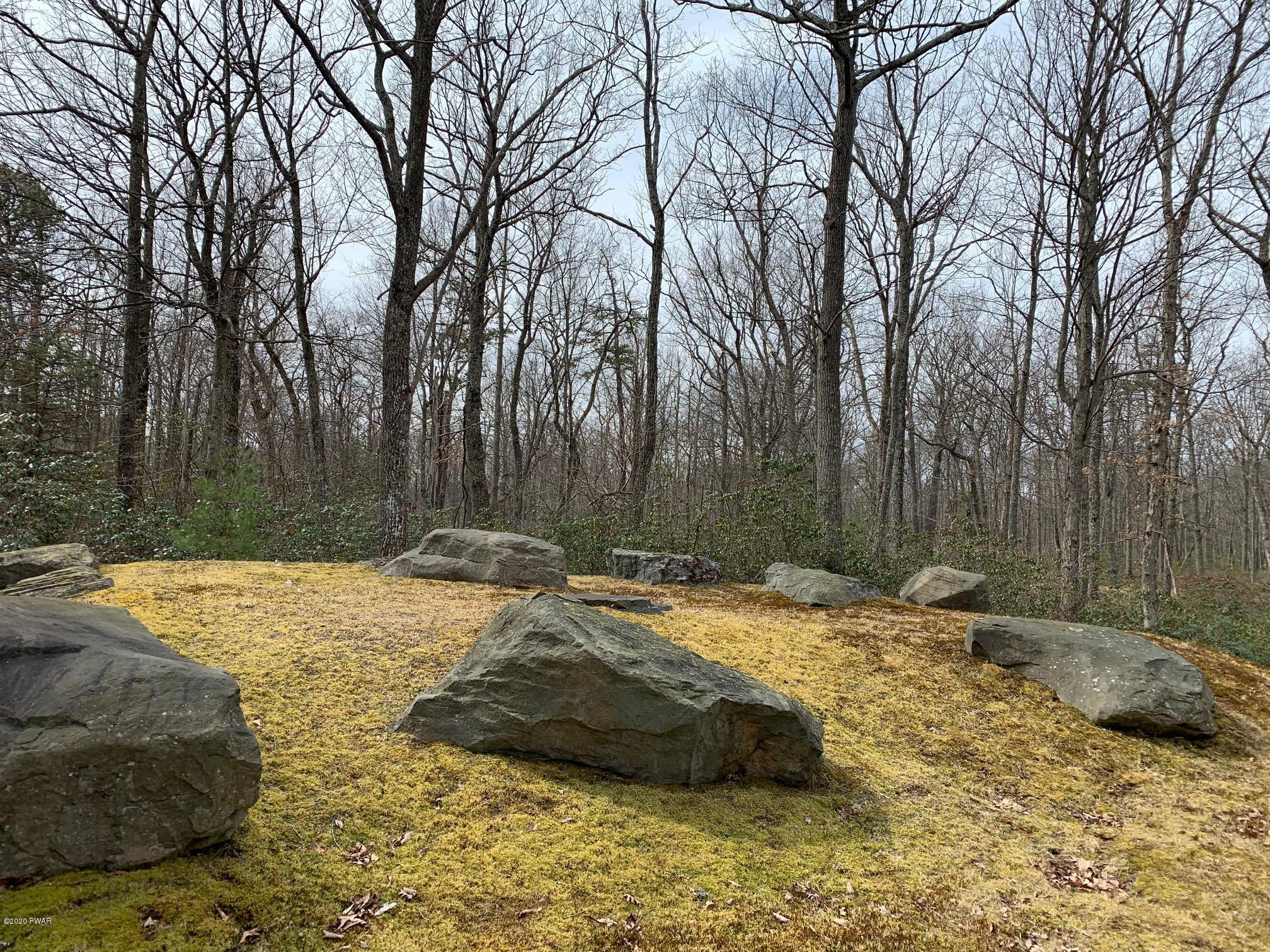 336 Maple Ridge Drive Hawley, PA 18428 - Photo 39 of 50 Back yard view