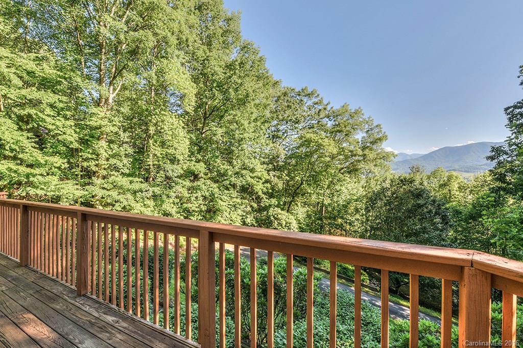 1021 Rabbit Skin Road Waynesville, NC 28785 - Photo 3 of 24 Gallery Image 3