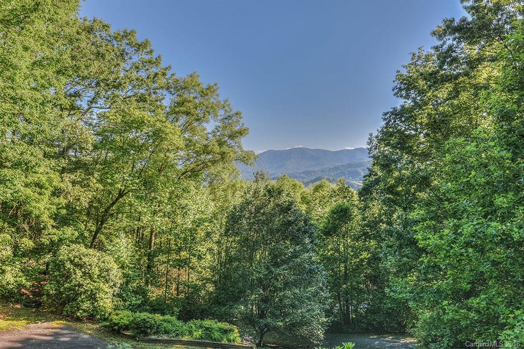 1021 Rabbit Skin Road Waynesville, NC 28785 - Photo 4 of 24 Gallery Image 4