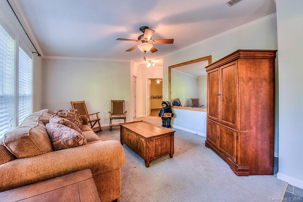 1021 Rabbit Skin Road Waynesville, NC 28785 - Photo 8 of 24 Gallery Image 8