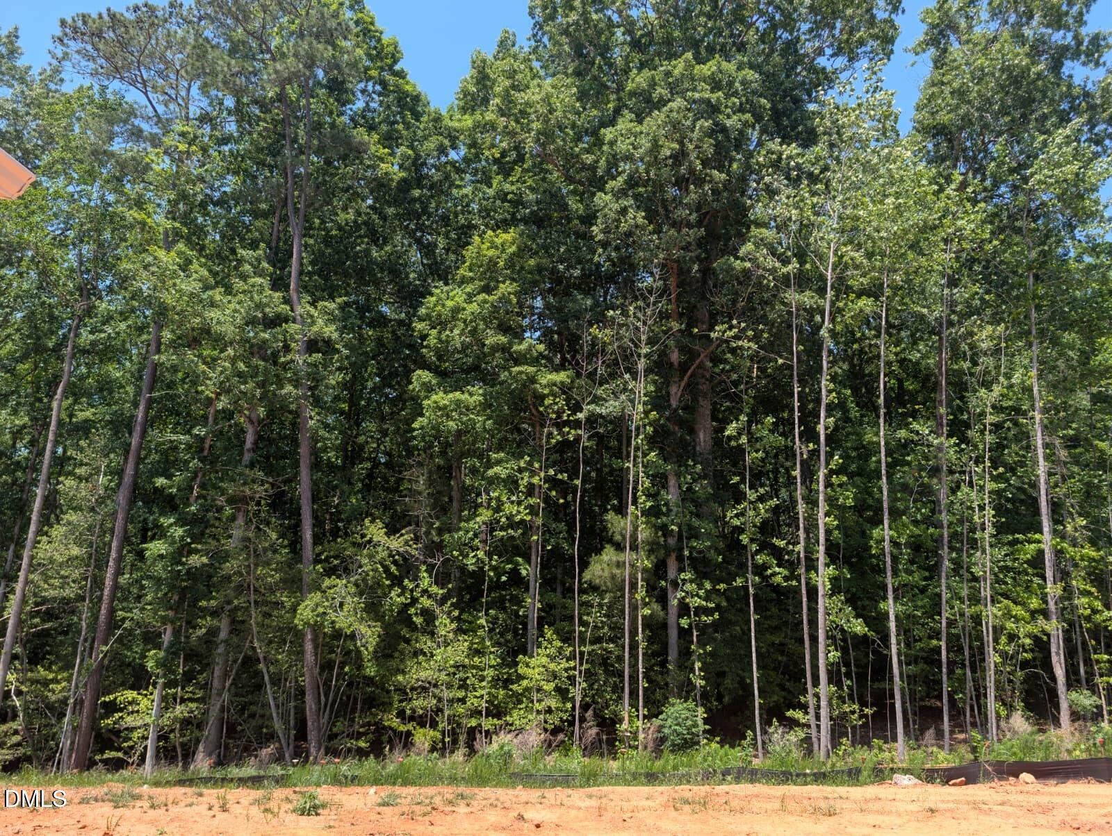 308 Karlov Road Garner, NC 27529 - Photo 41 of 55 a view of a yard with plants and large trees