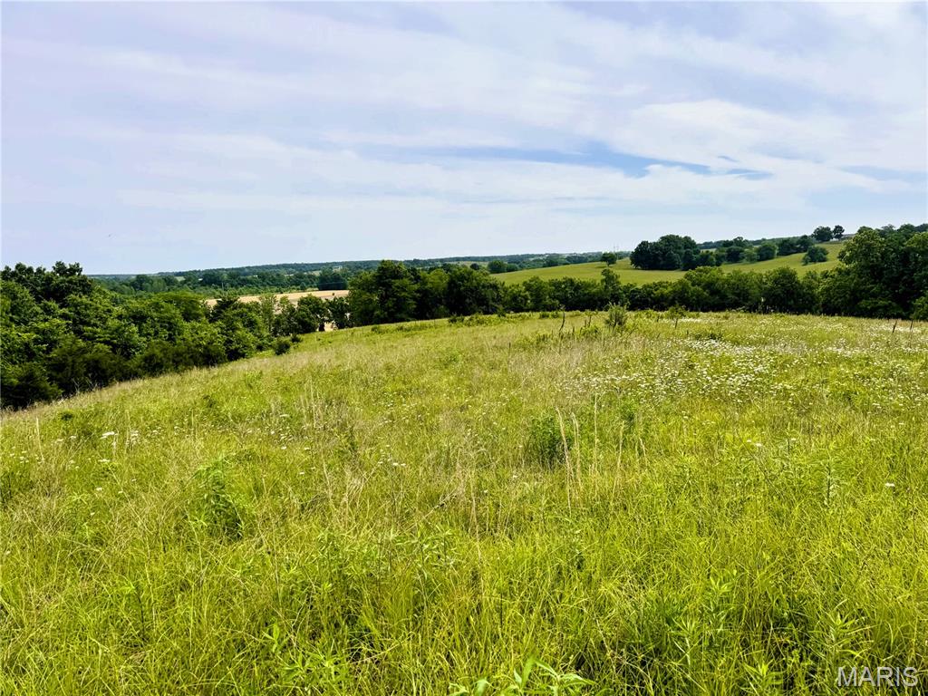 0 Knox Road Marceline, MO 64658 - Photo 10 of 12