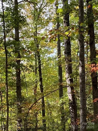 $29,900 | Lot 28 Mentink Way, Nebo, NC 28761