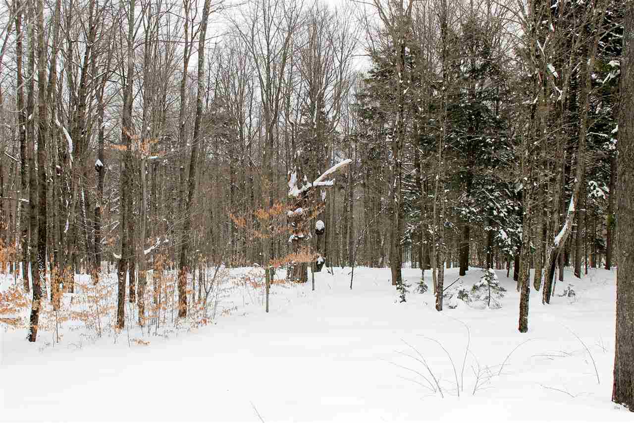 0 Old Stage Coach Road Bethel, VT 05032 - Photo 6 of 14