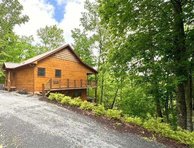 a view of a backyard with plants and large tree