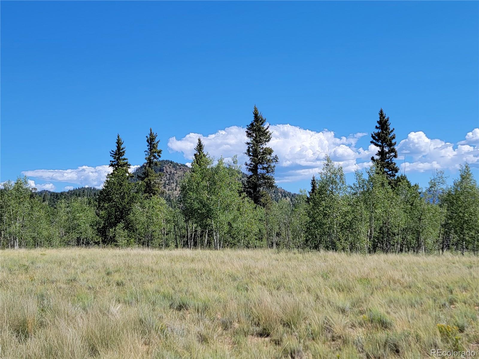 1031 Buffalo Ridge Road Como, CO 80432 - Photo 1 of 19 Gallery Image 1
