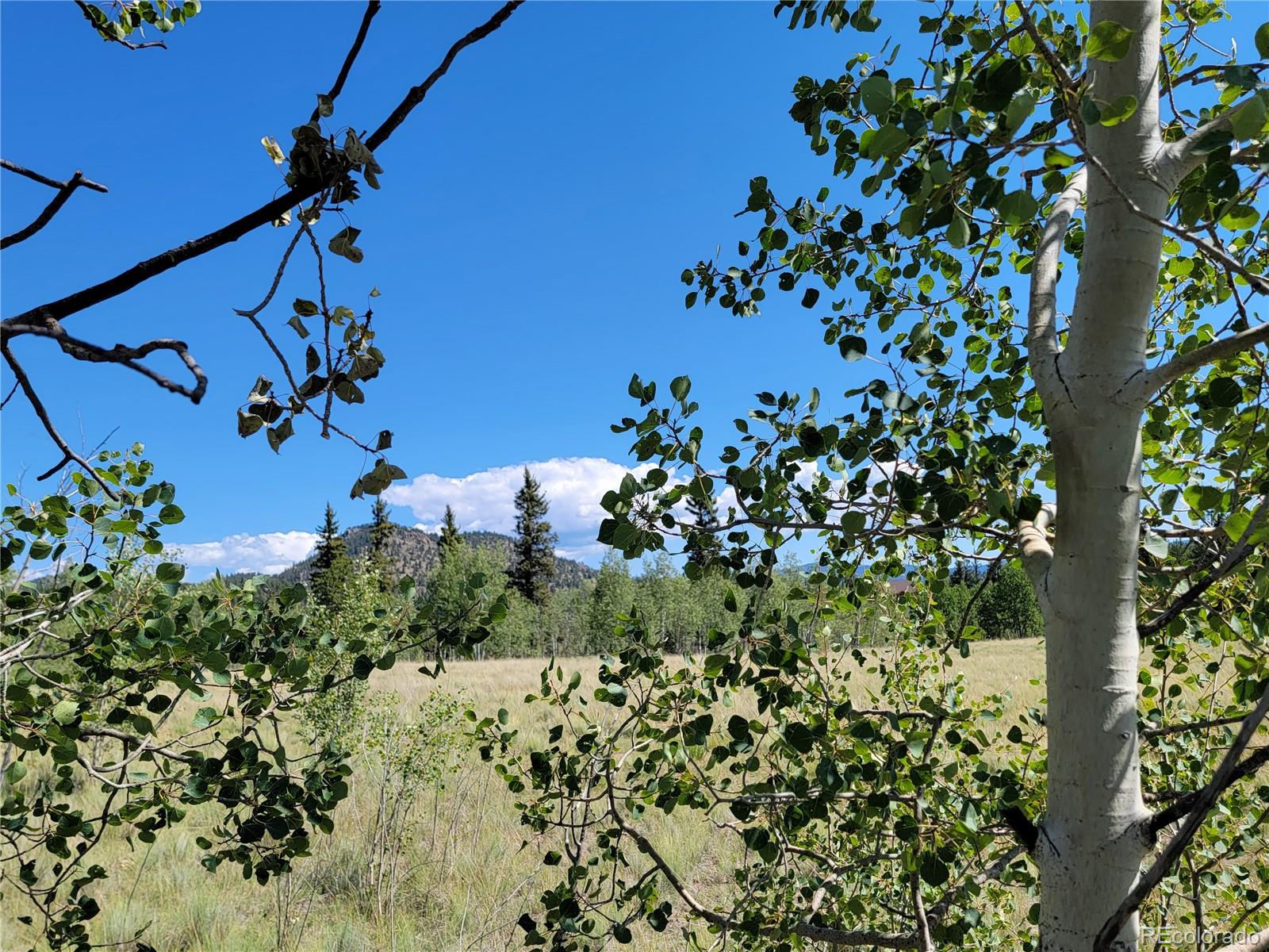1031 Buffalo Ridge Road Como, CO 80432 - Photo 12 of 19 Gallery Image 12