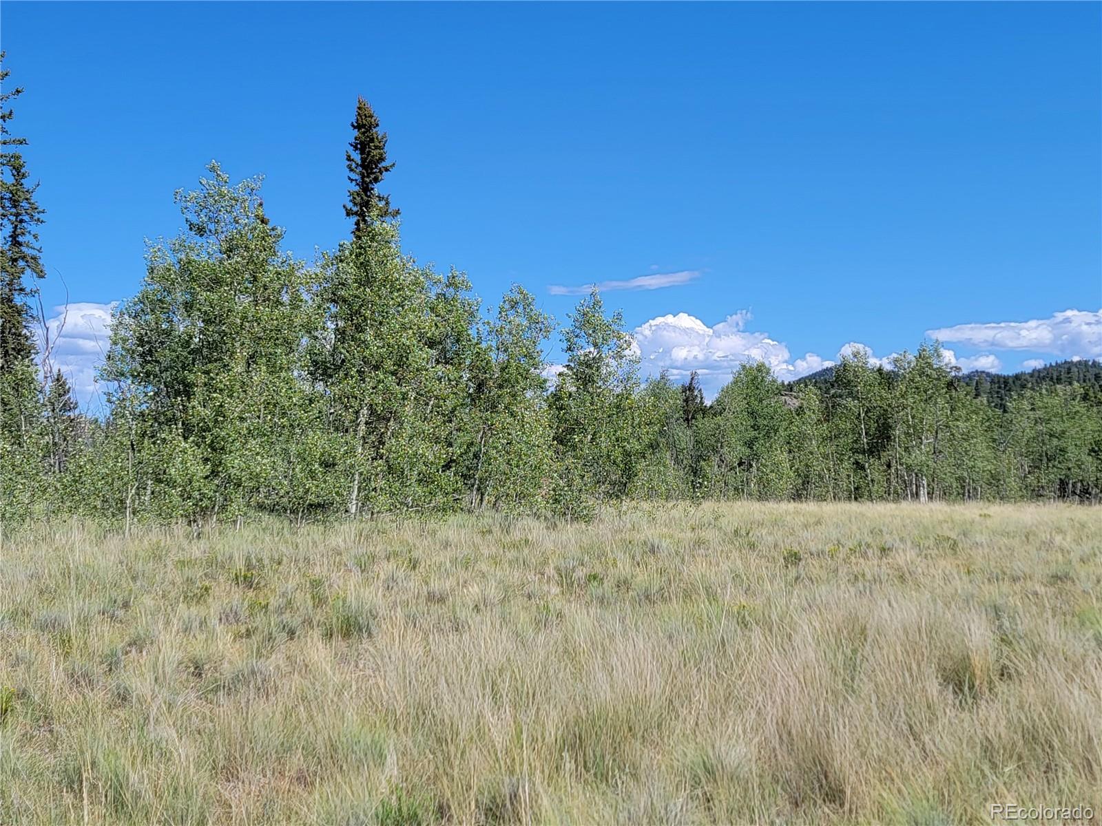 1031 Buffalo Ridge Road Como, CO 80432 - Photo 13 of 19 Gallery Image 13