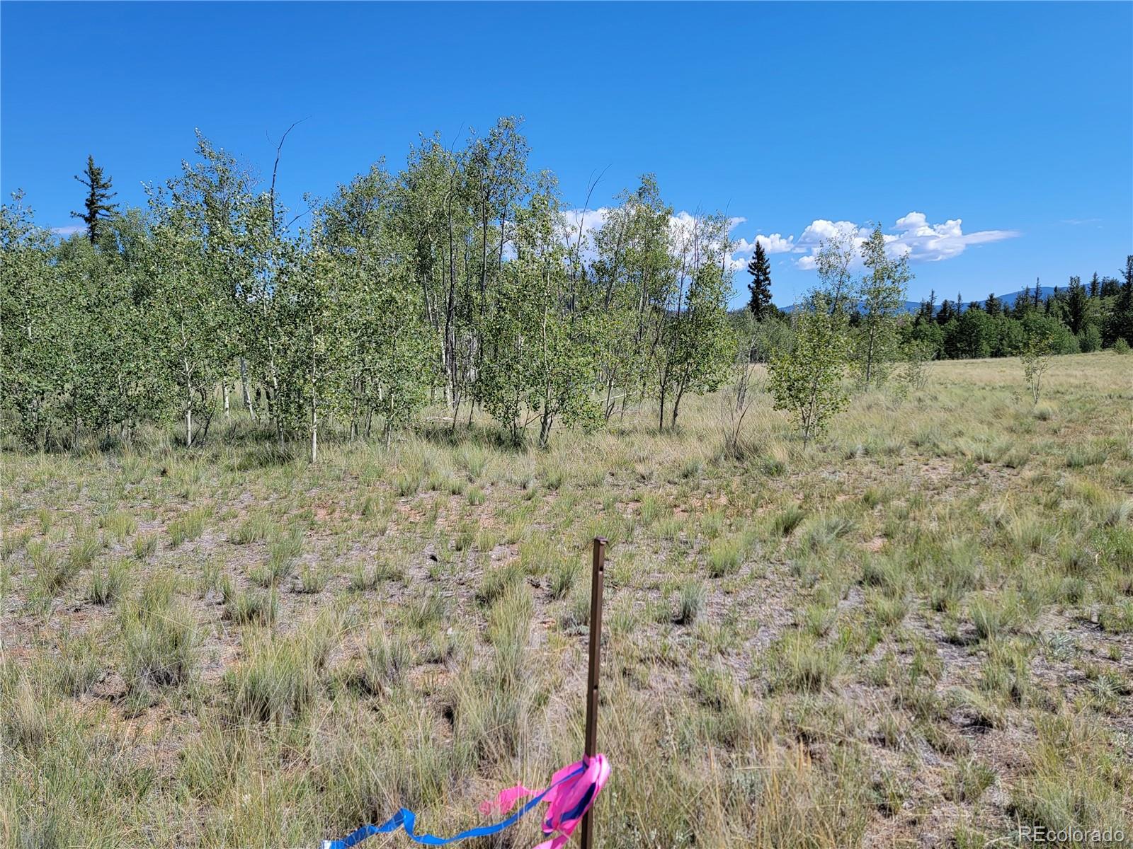 1031 Buffalo Ridge Road Como, CO 80432 - Photo 14 of 19 Gallery Image 14