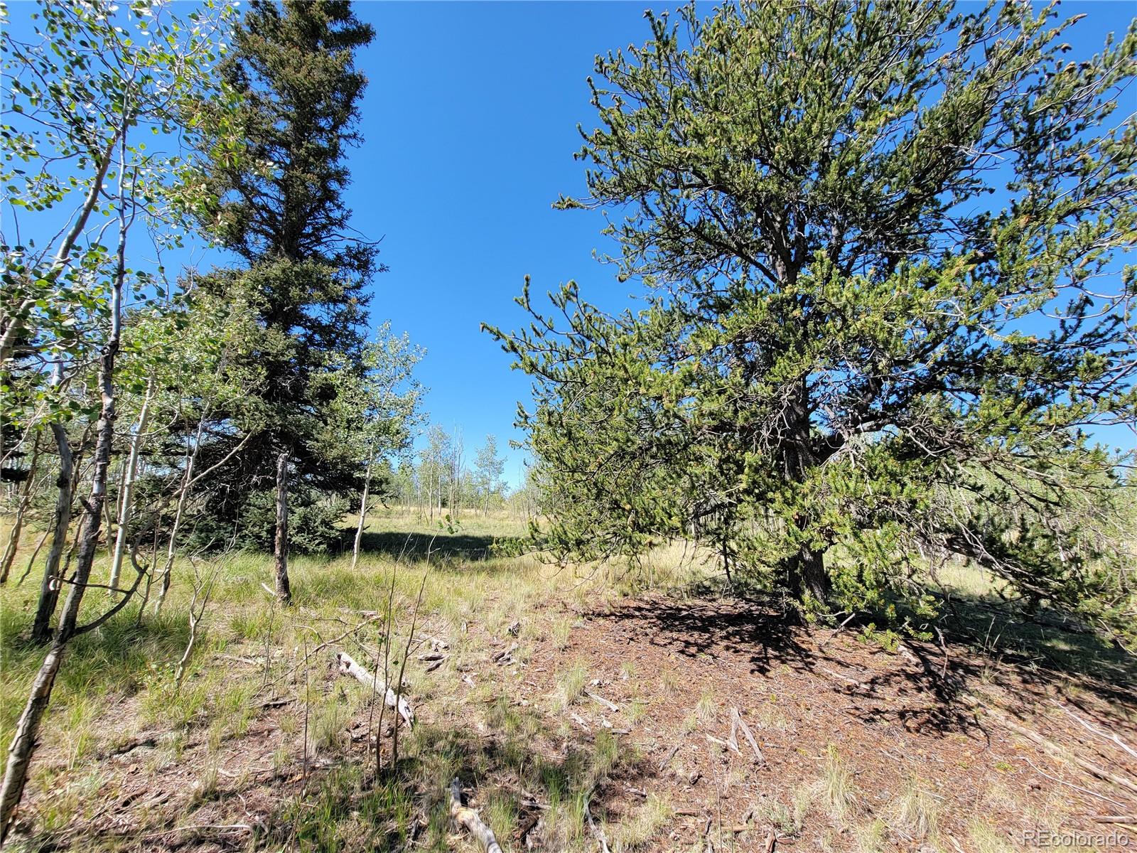 1031 Buffalo Ridge Road Como, CO 80432 - Photo 16 of 19 Gallery Image 16