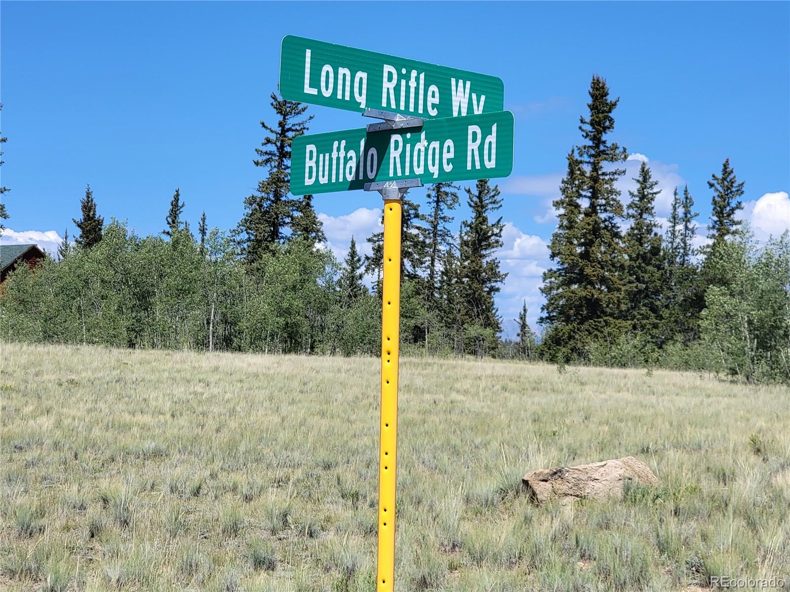 1031 Buffalo Ridge Road Como, CO 80432 - Photo 17 of 19 Gallery Image 17