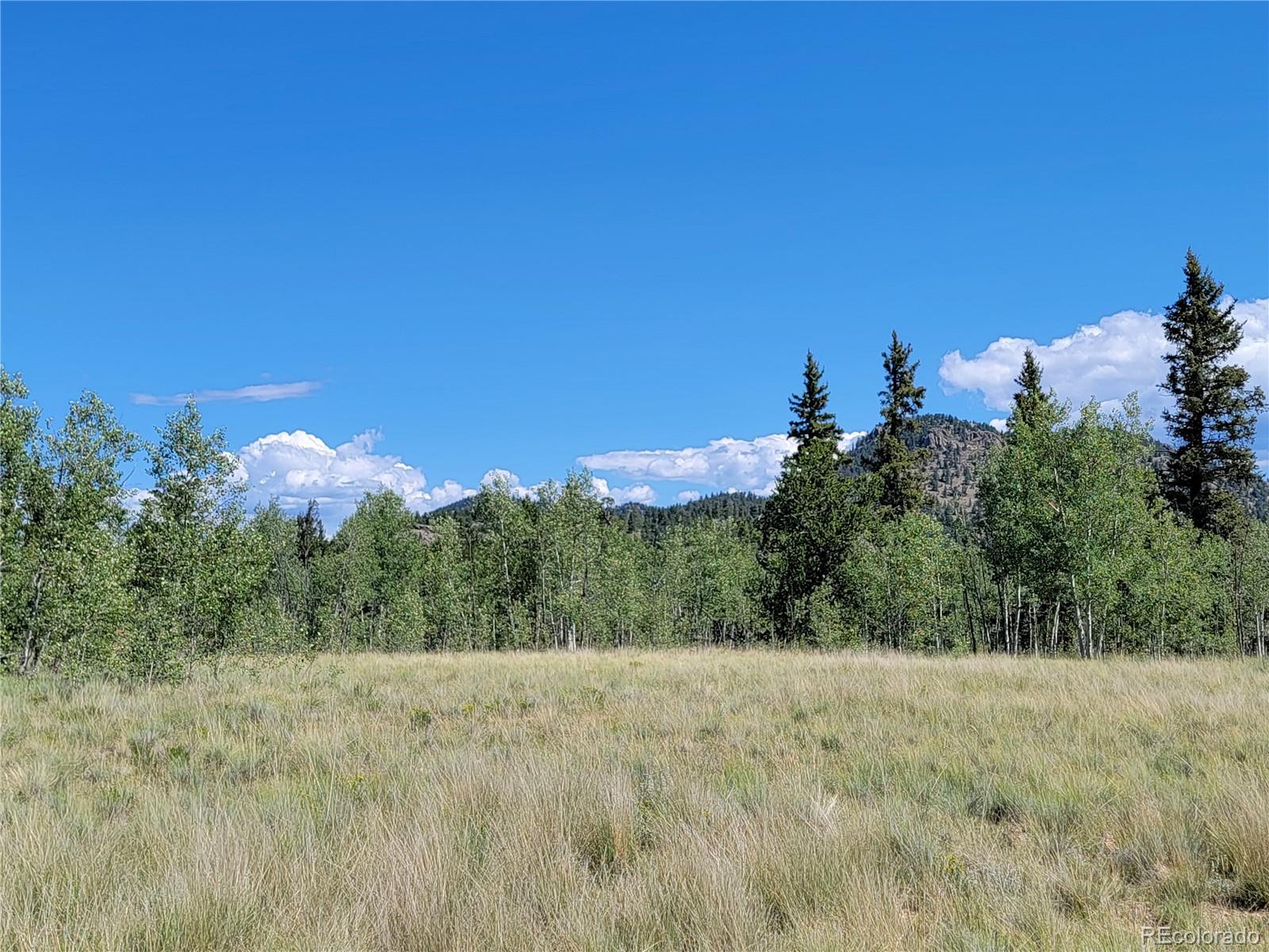 1031 Buffalo Ridge Road Como, CO 80432 - Photo 3 of 19 Gallery Image 3