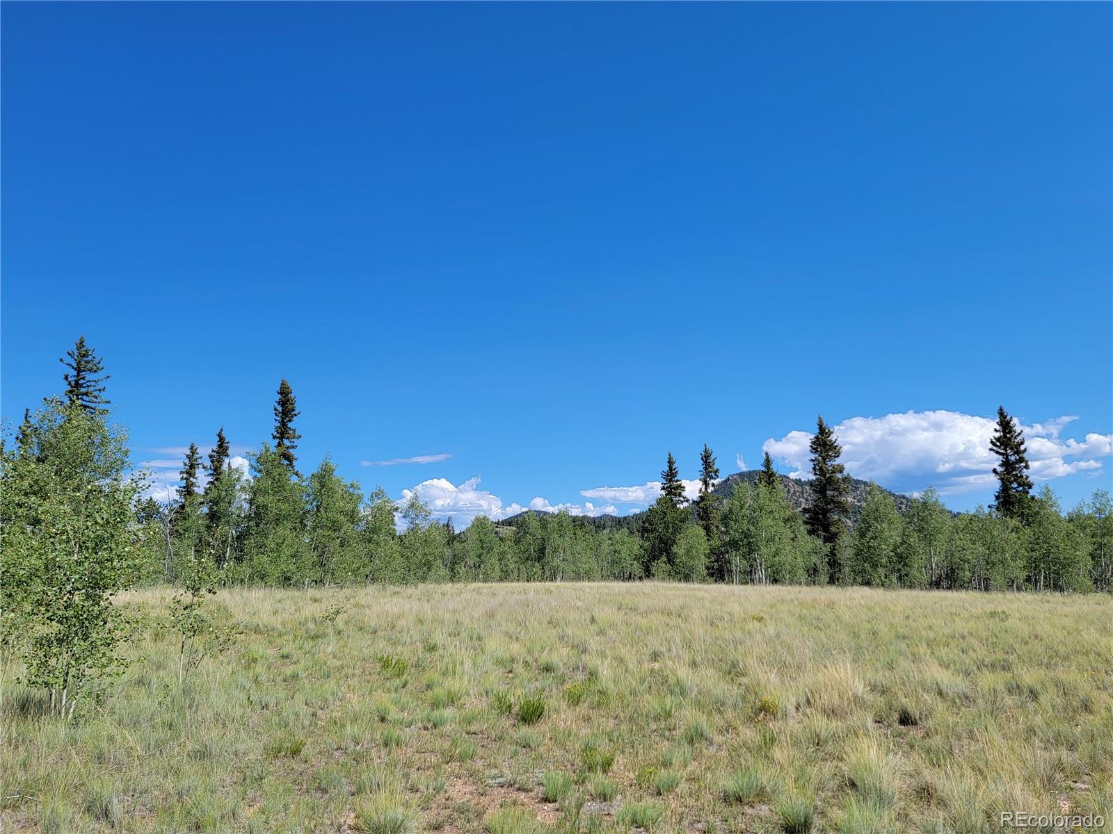 1031 Buffalo Ridge Road Como, CO 80432 - Photo 5 of 19 Gallery Image 5